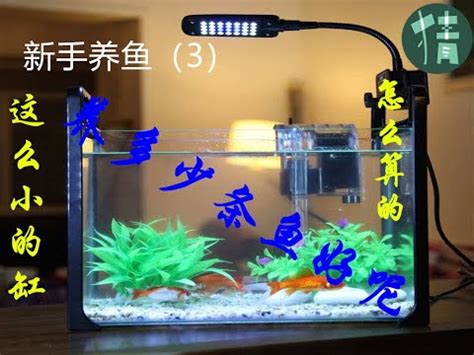 魚缸魚的數量|魚缸形狀和養魚數目，原來還有這麼大講究！